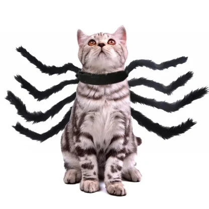 Spider Halloween Costume for Pets - Image 8