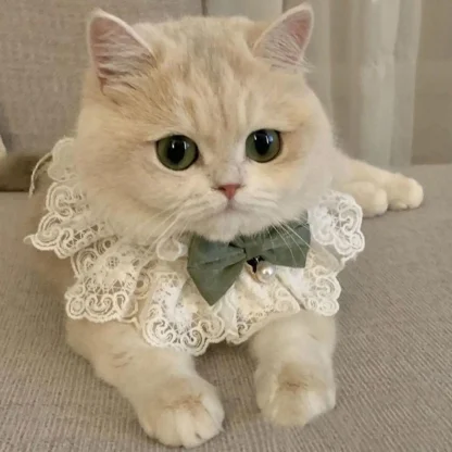 Elegant Lace Bib with Bow Decor - Image 5