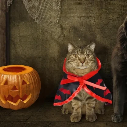 Cloak for Pets with Halloween Pumpkin Print - Image 6