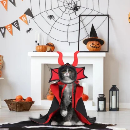 Spooky Pet Vampire Cloak for Halloween - Image 4