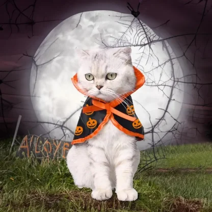 Cloak for Pets with Halloween Pumpkin Print - Image 7