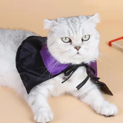 Adorable Witch Cape Pet Costume - Image 6