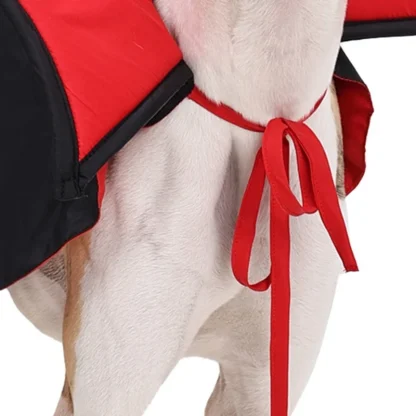 Spooky Pet Vampire Cloak for Halloween - Image 7