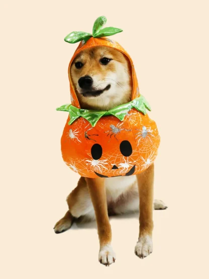 Halloween Pumpkin Costume for Pets - Image 2
