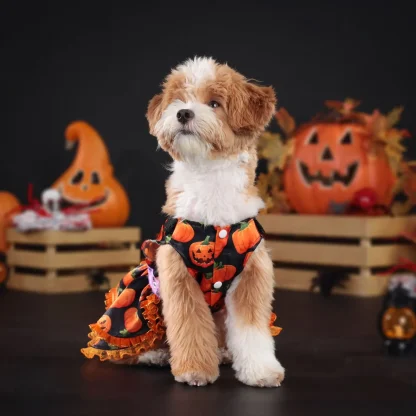 Halloween Dress with Pumpkin Prints - Image 3