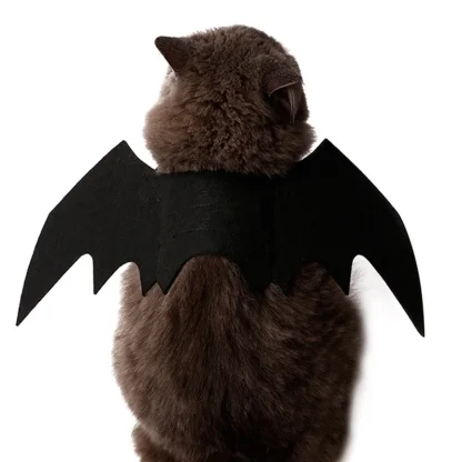Black Bat Wings Halloween Costume - Image 2