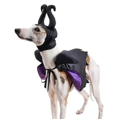 Funny Witch Outfit with Horn Headpiece - Image 2