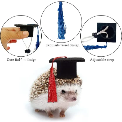 Pet Mini Bachelor Hat with Tassel - Image 8