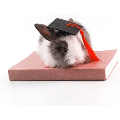 Pet Mini Bachelor Hat with Tassel - Image 3
