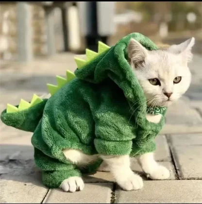 Warm Dinosaur Costume with Hood - Image 2