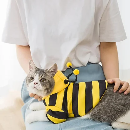 Bee Funny Costume for Halloween - Image 5