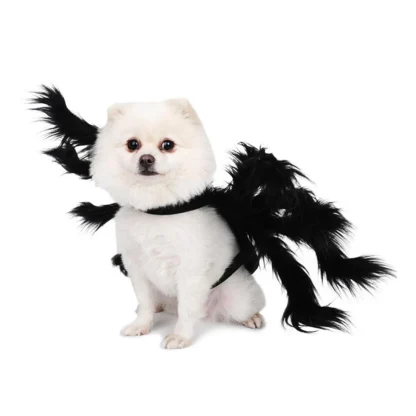 Black Spider Halloween Costume for Pets - Image 4