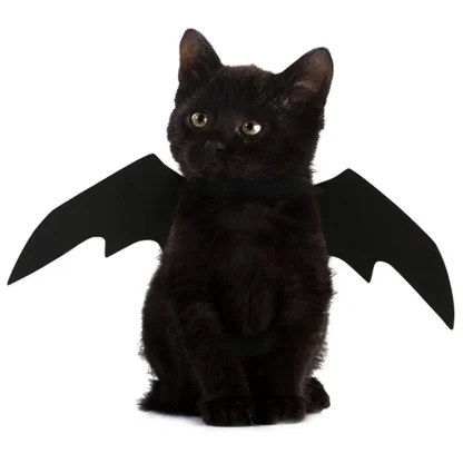 Black Bat Wings Halloween Costume - Image 6