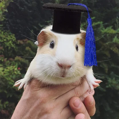 Pet Mini Bachelor Hat with Tassel - Image 5