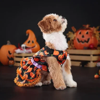 Halloween Dress with Pumpkin Prints - Image 7