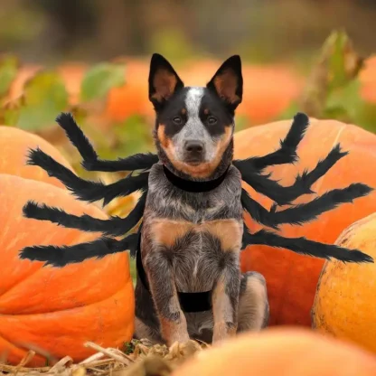 Spider Halloween Costume for Pets - Image 2