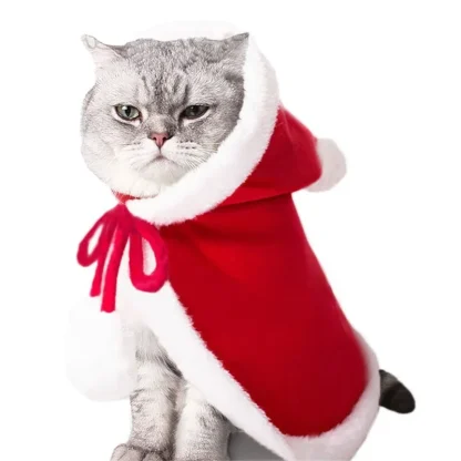 Cute Christmas Cloak Costume with Hood