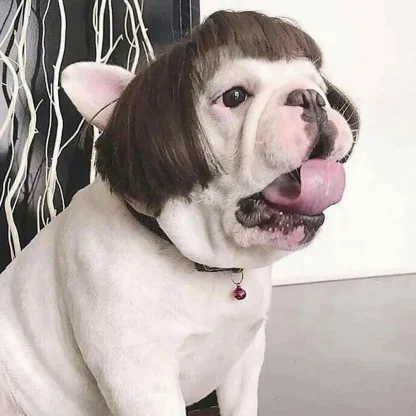 Hilarious Pet Wig with Bangs - Image 3