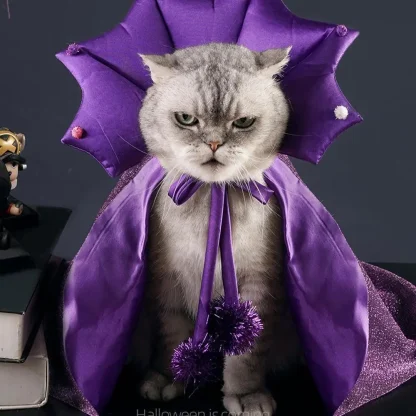 Witch Cloak Pet Halloween Costume - Image 6