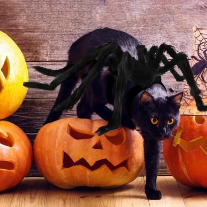 Spider Halloween Costume for Pets - Image 3